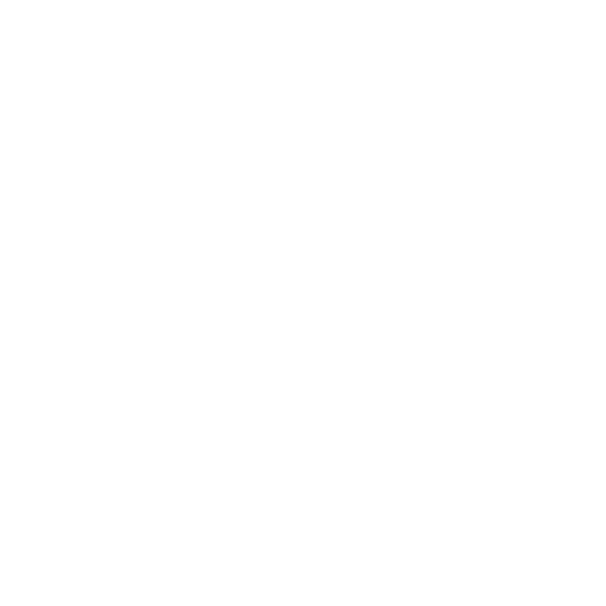 Audi-02